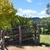 Outdoors view
