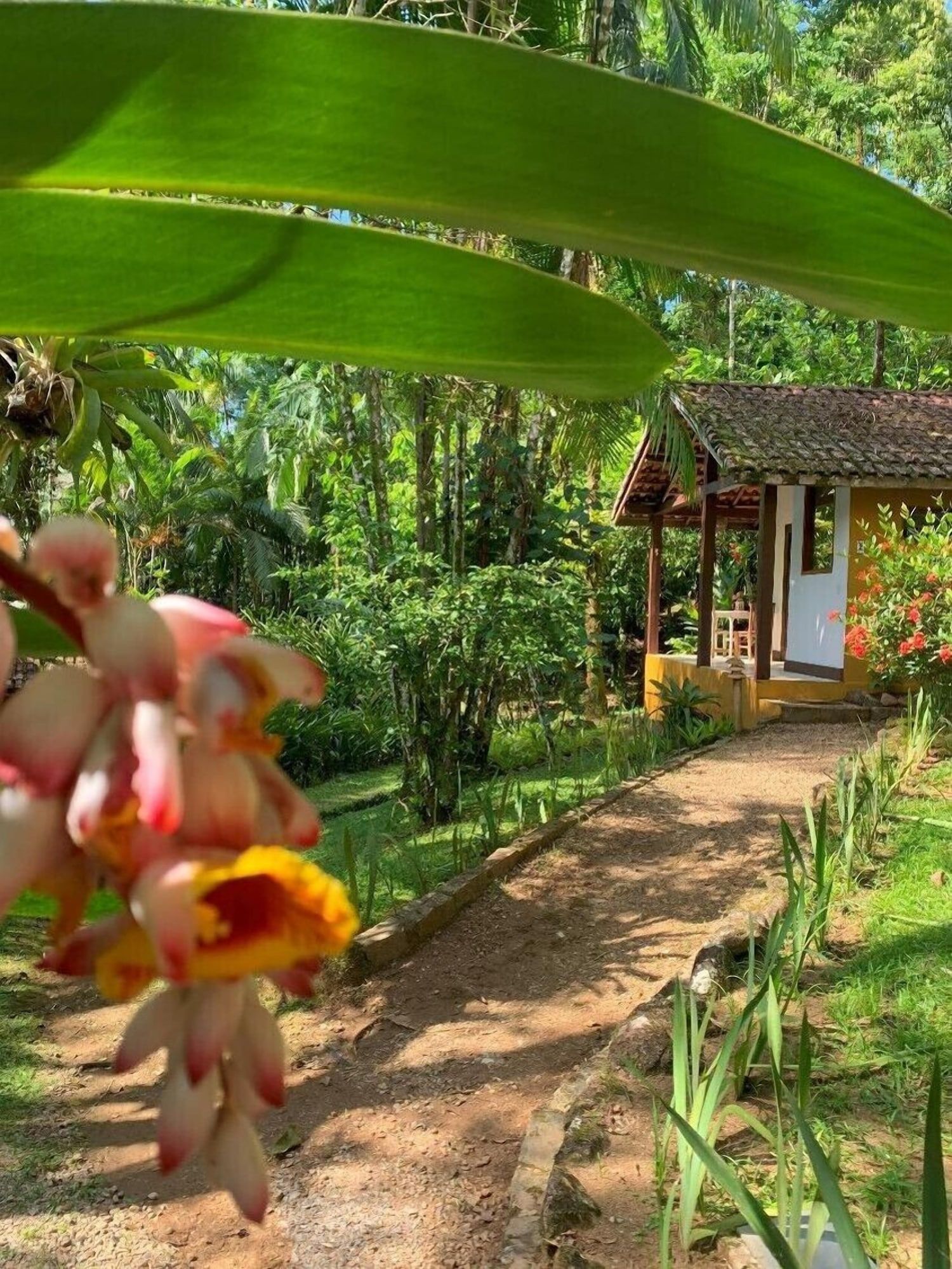 Outdoors view