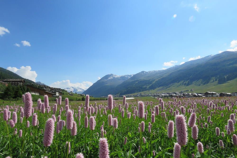 Outdoors view