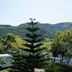Outdoors view