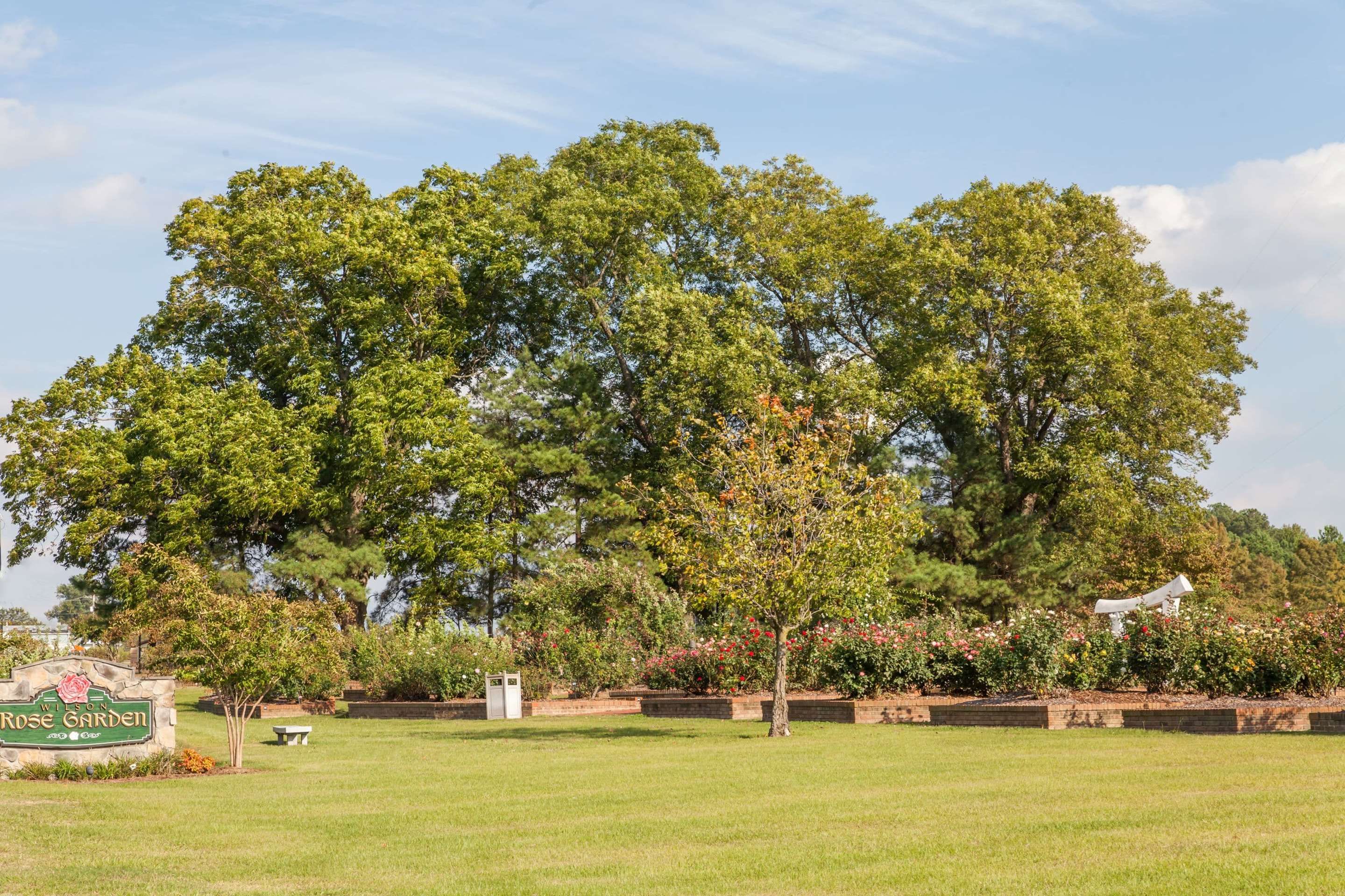 Outdoors view