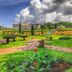 Outdoors view