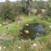 Outdoors view