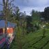 Outdoors view