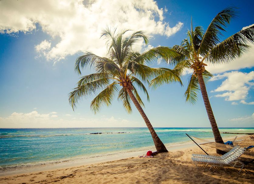 Beach Photo