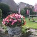 Outdoors view