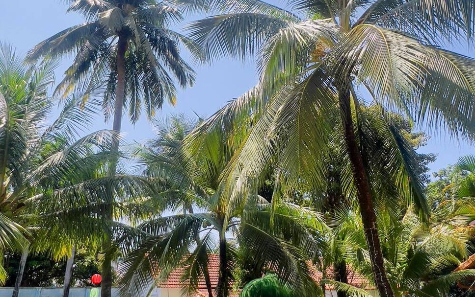 Outdoors view Photo