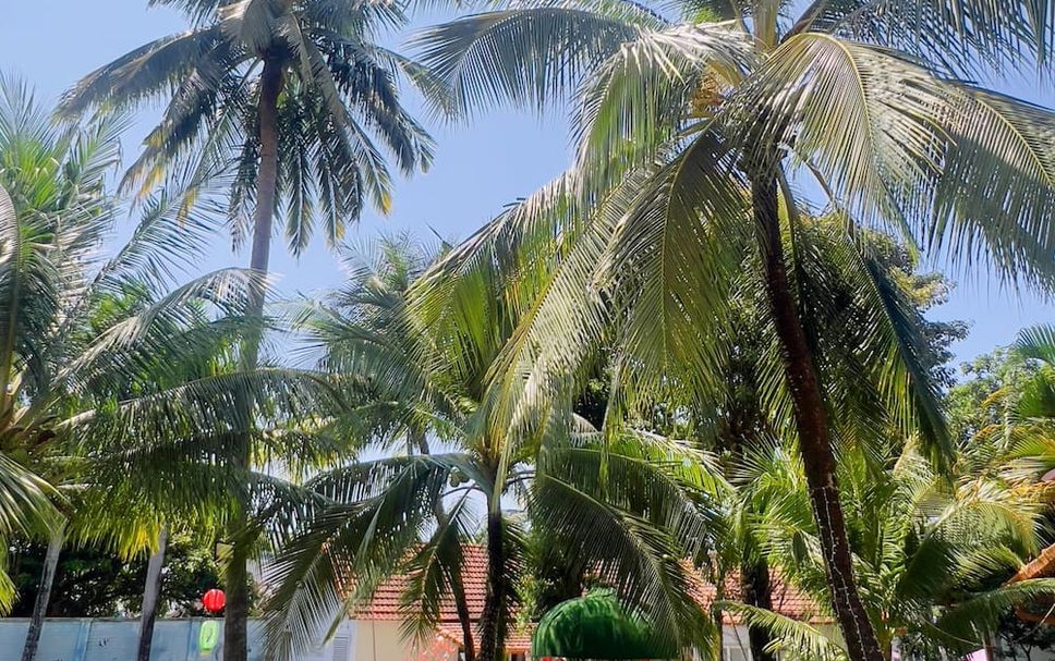Outdoors view Photo