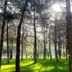 Outdoors view