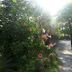 Outdoors view