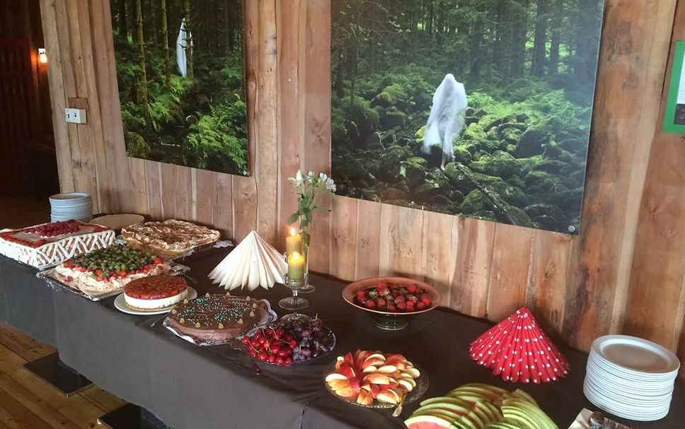 Buffet Photo