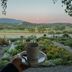 Outdoors view
