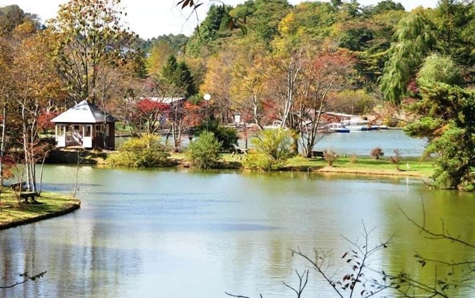Outdoors view Photo