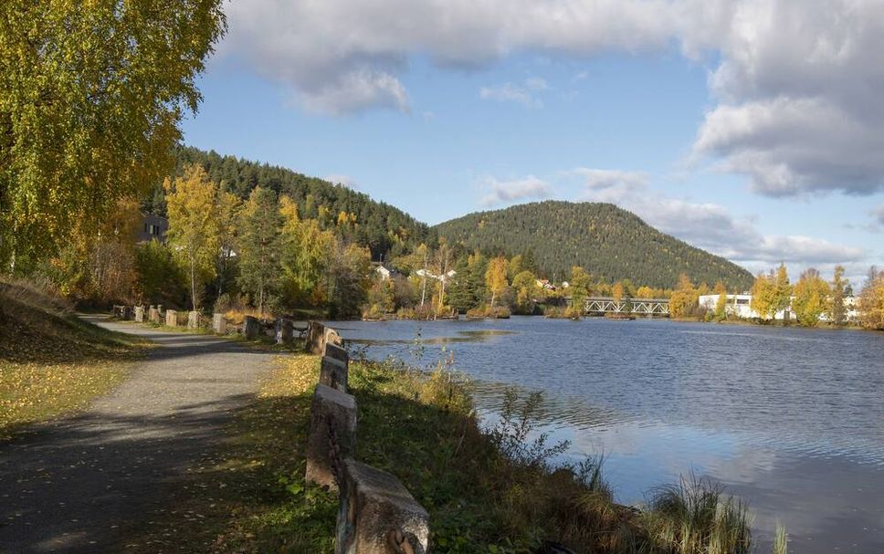 Outdoors view Photo