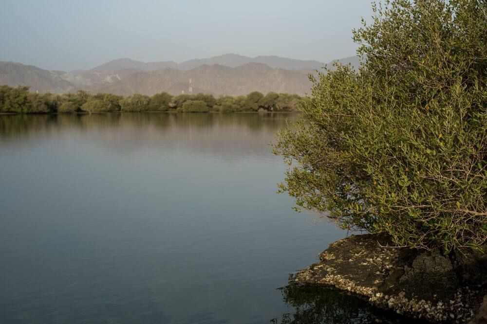 Outdoors view