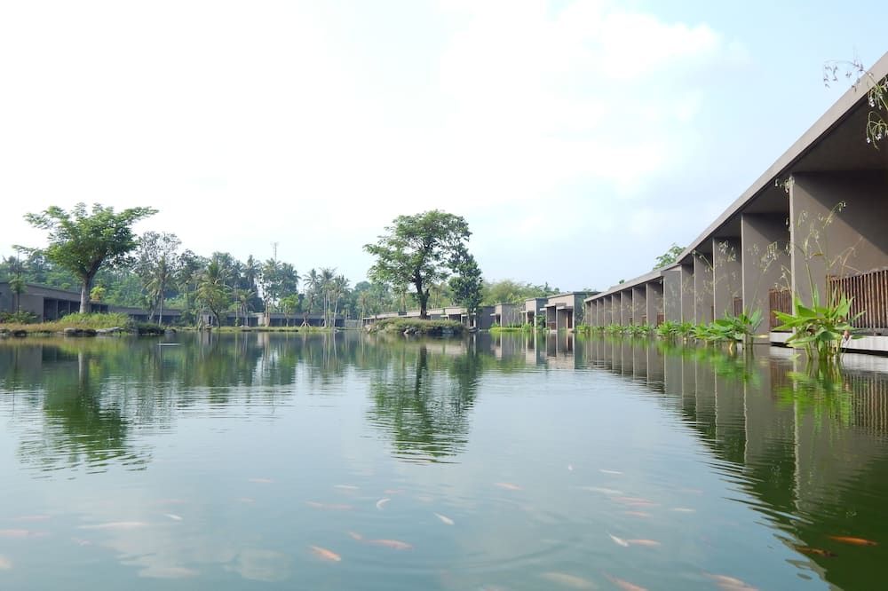 Outdoors view