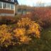 Outdoors view