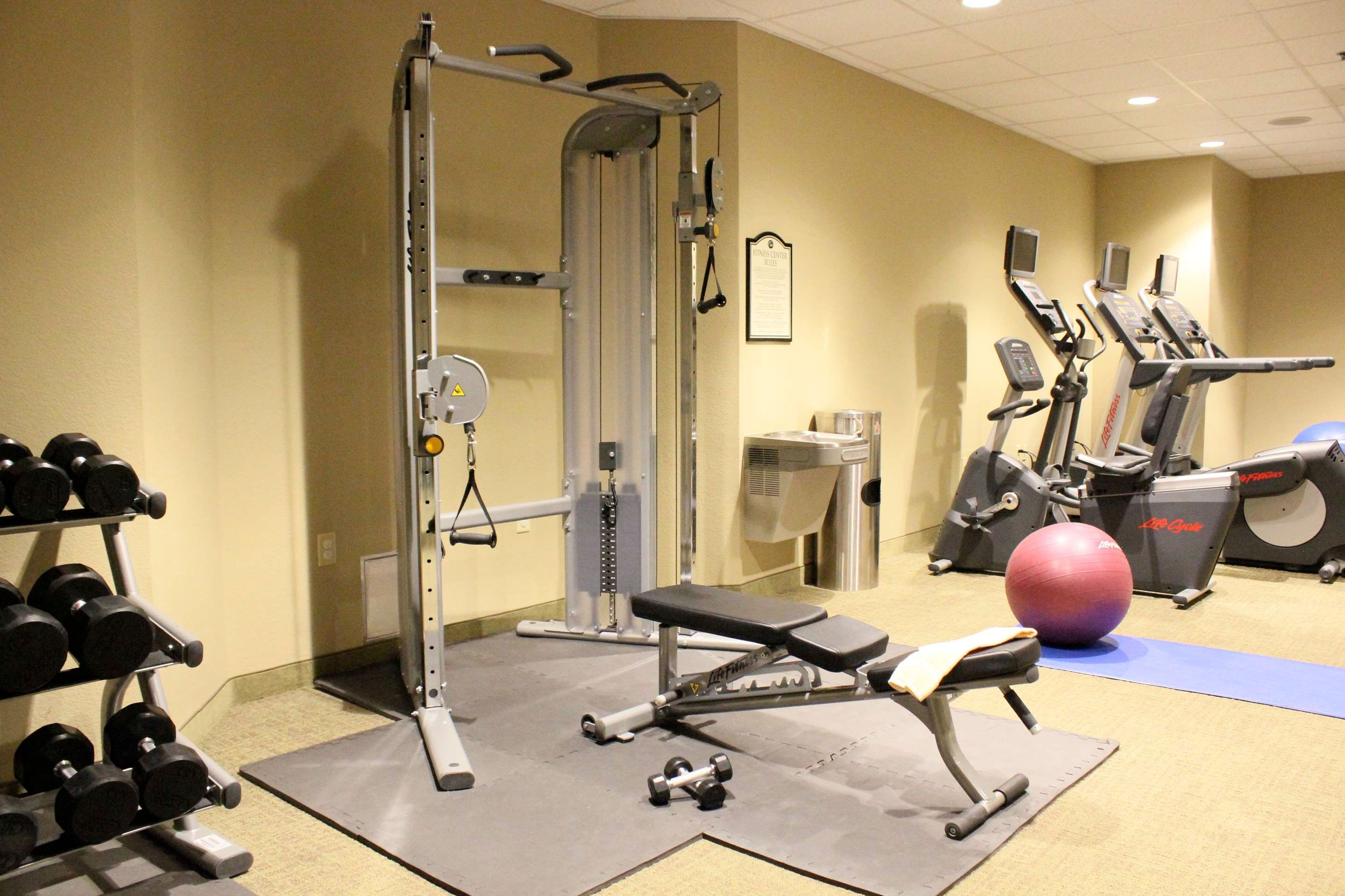 Gym