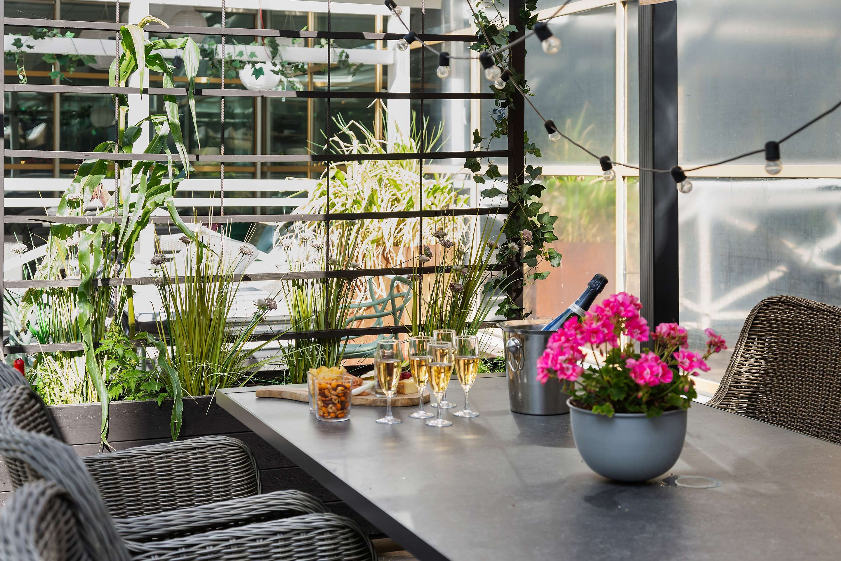 Hotel amenity