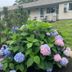 Outdoors view