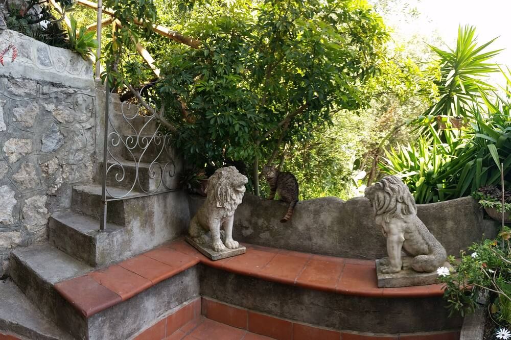 Outdoors view
