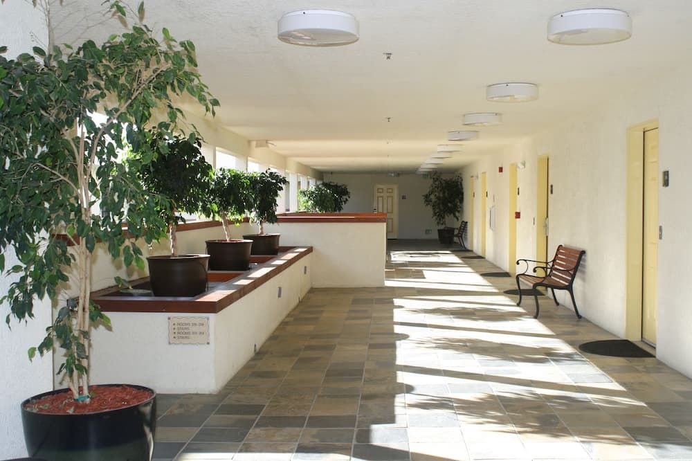 Decor Photo