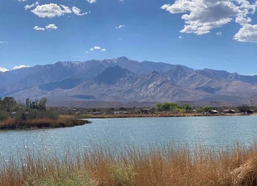 Outdoors view Photo