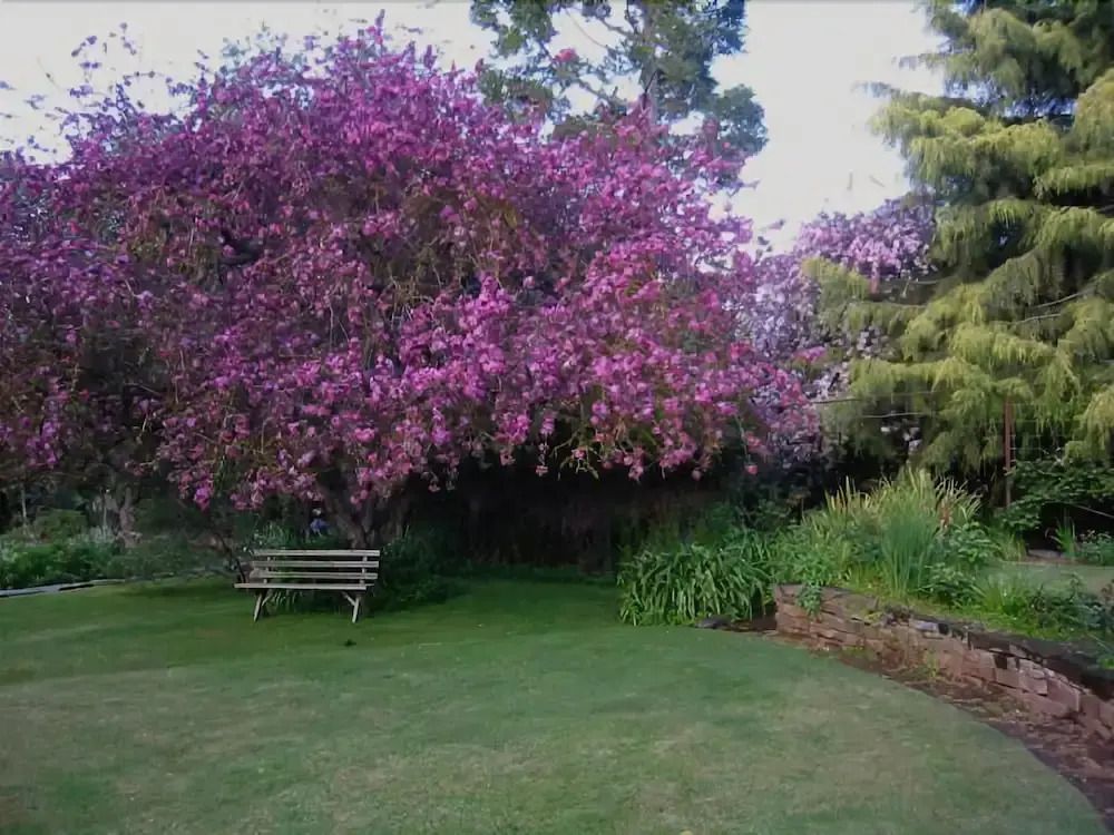 Outdoors view