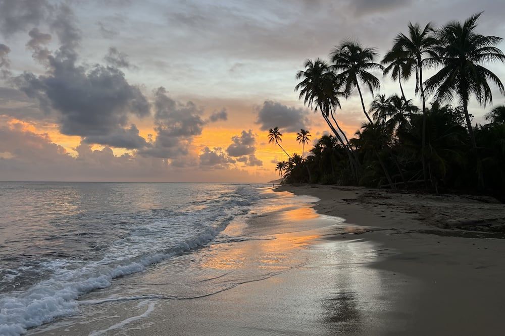 Beach Photo