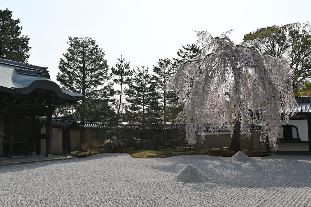 Outdoors view