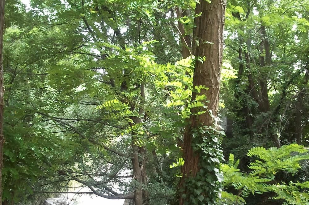 Outdoors view