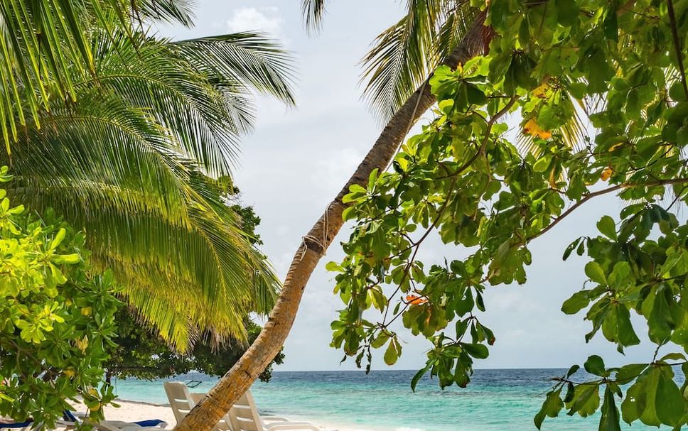 Beach Photo