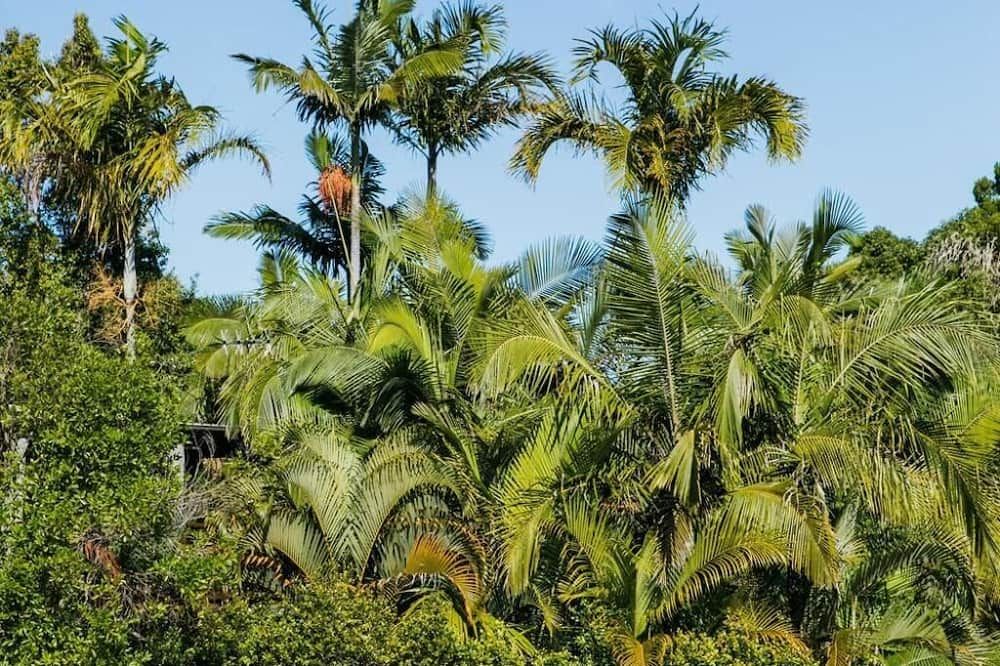 Outdoors view