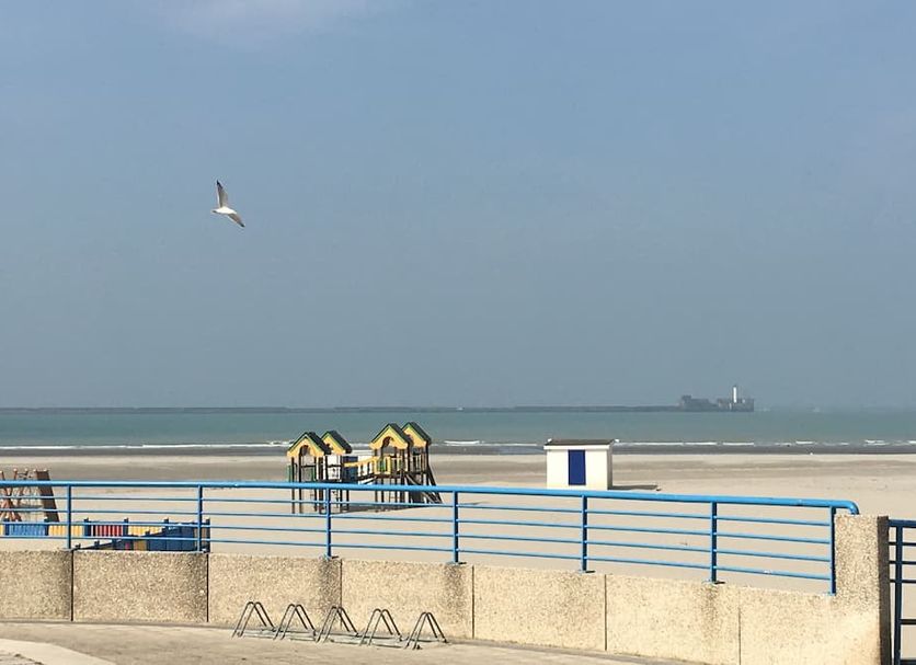Beach Photo