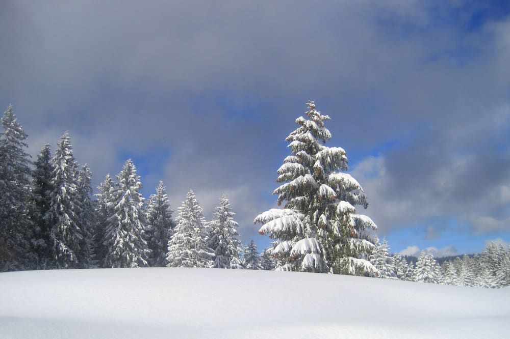 Outdoors view