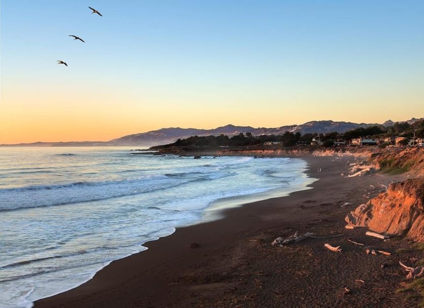 Beach Photo