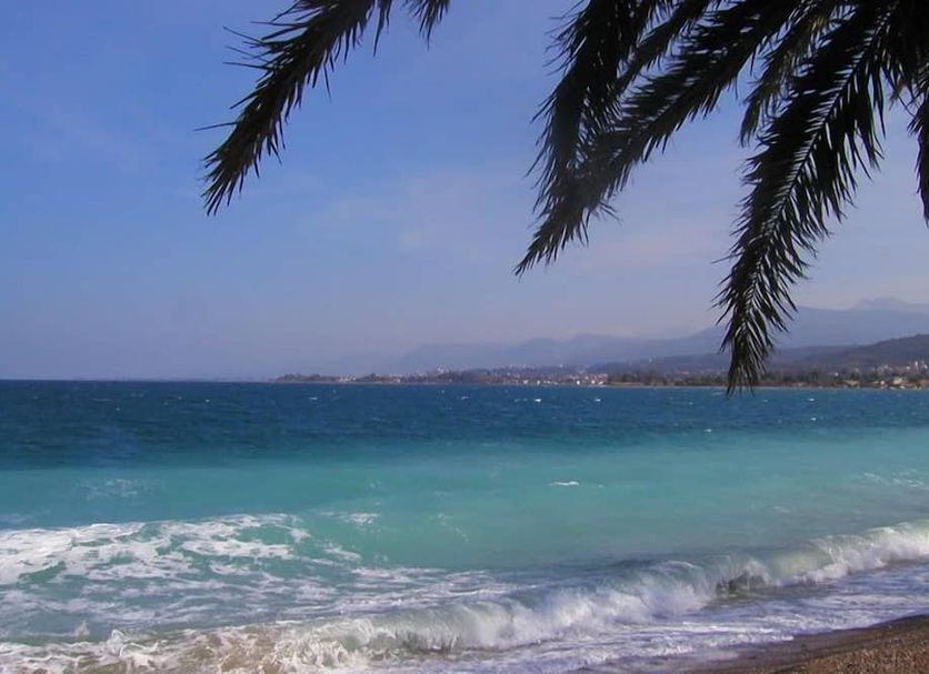 Beach Photo