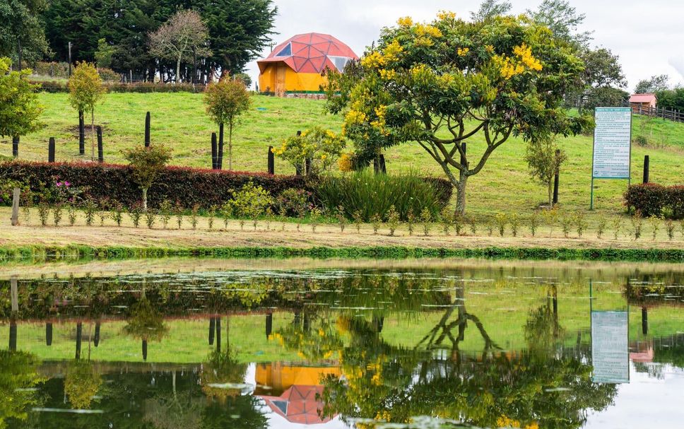 Outdoors view Photo