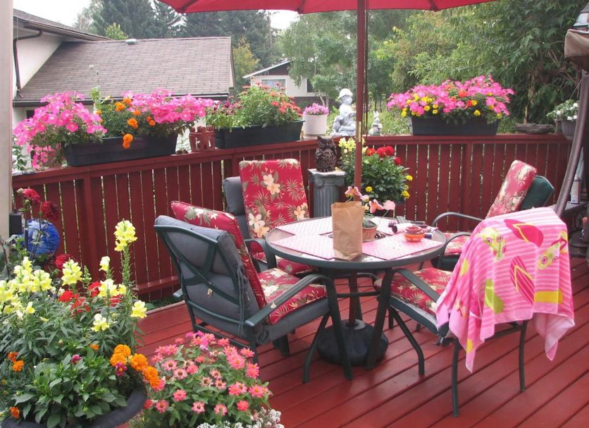 Patio Photo