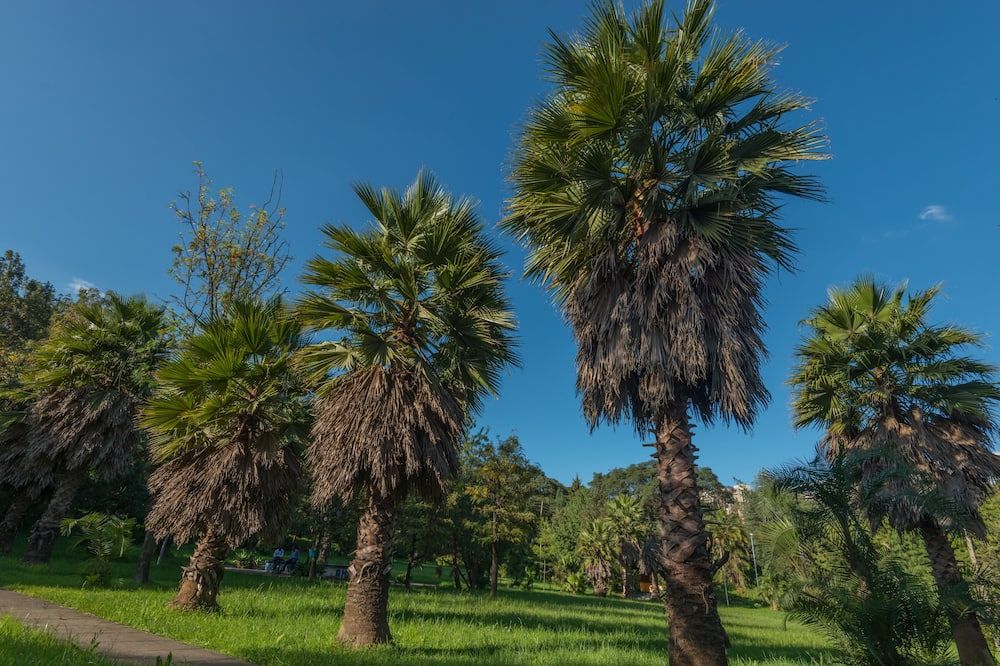 Outdoors view