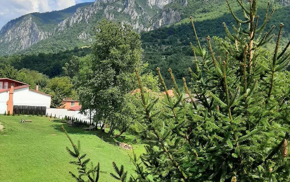 Outdoors view Photo