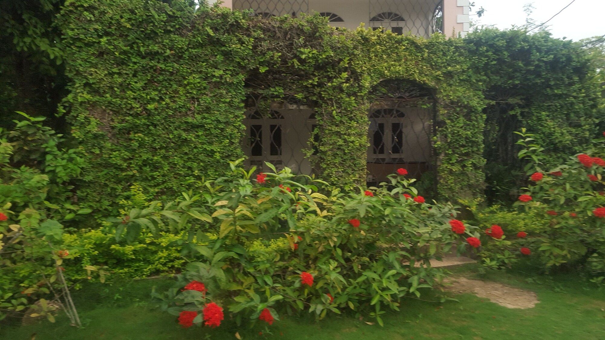 Outdoors view