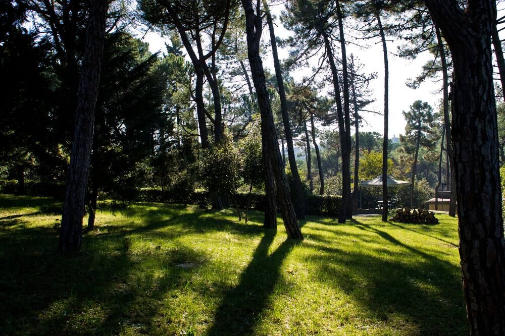Outdoors view