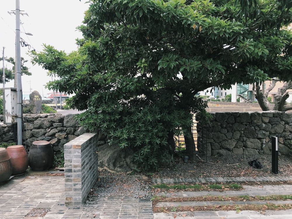 Outdoors view
