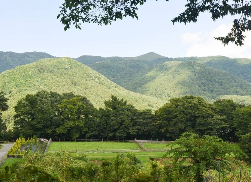 Outdoors view Photo