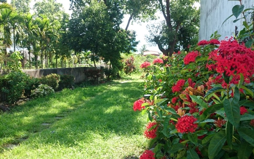 Outdoors view Photo