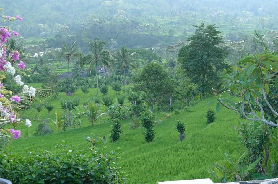 Outdoors view