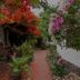 Outdoors view