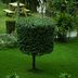 Outdoors view