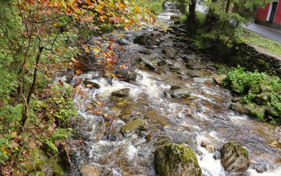 Outdoors view Photo